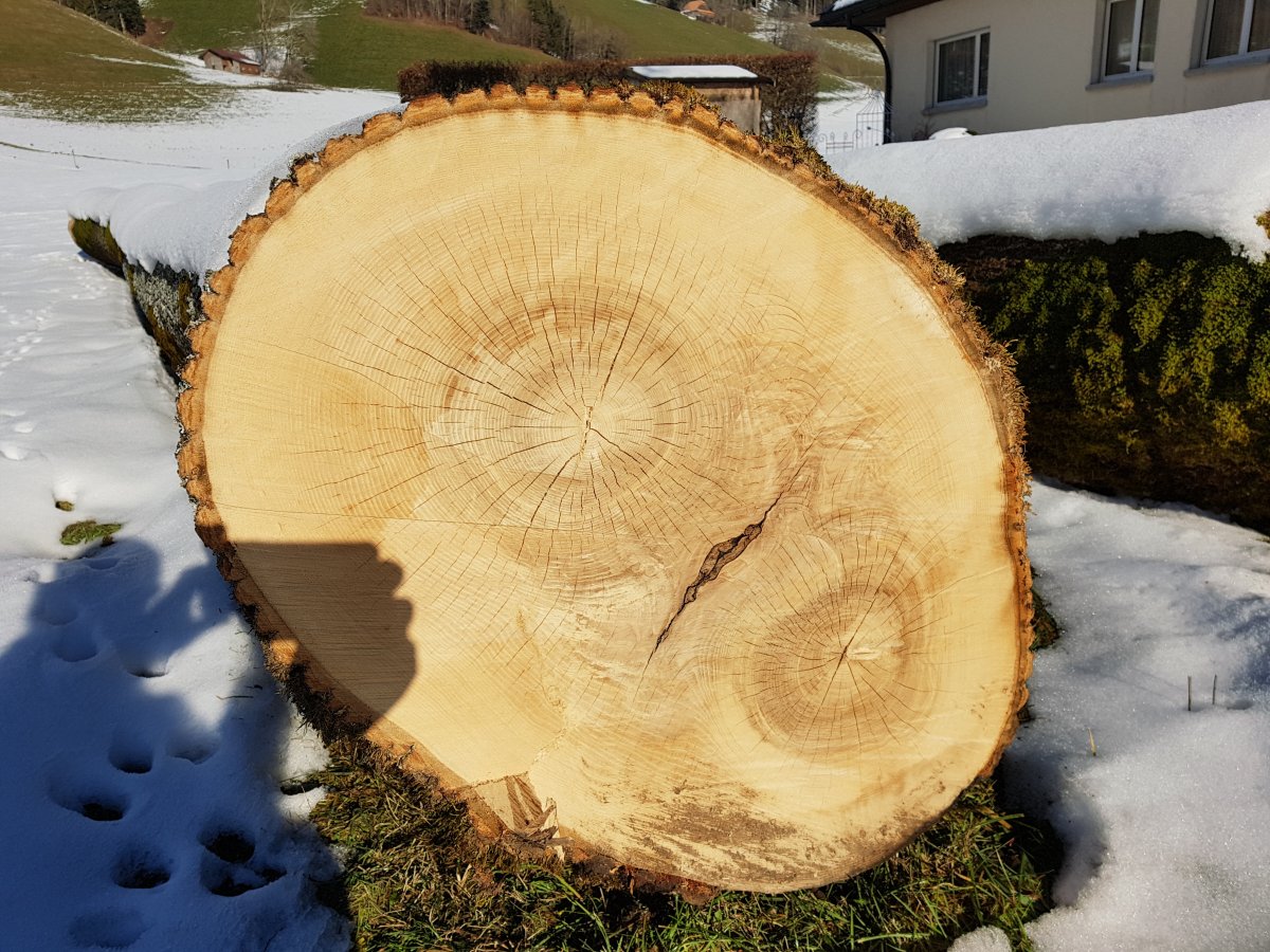 Holz-Handwerk.ak